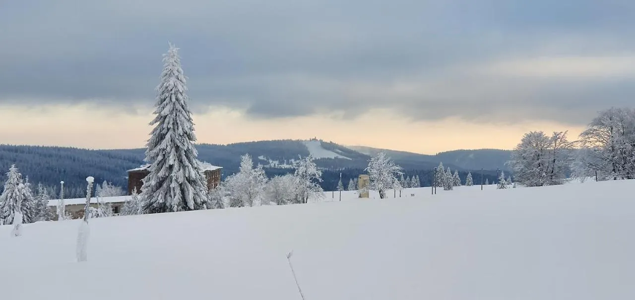 Apartman Neptun Apartment Karlovy Vary 0*,  Czech Republic